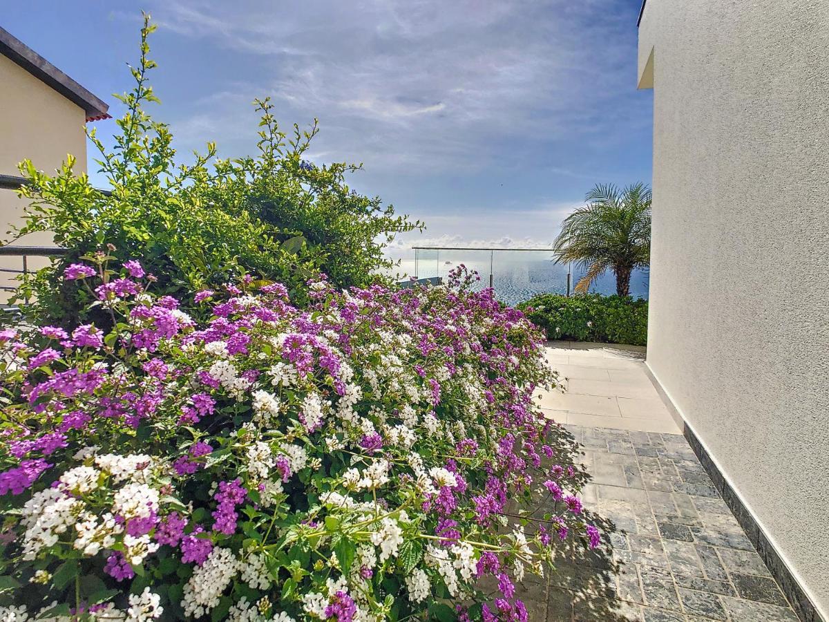 Francelho 2 Aparment By Mhm Apartment Ribeira Brava Exterior foto